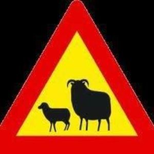 Meet your Posher, Olafia